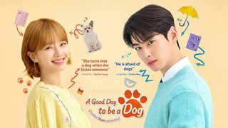 Alur Cerita Drama A Good Day to Be a Dog, Subtitle Bahasa Indonesia