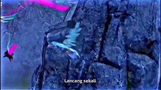 TRAILER BTTH SPECIAL EPS