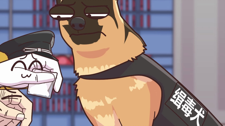 Drug-detection dog: I’ve been properly trained!