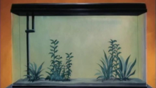 Thám tử Kindaichi - Đồng tiền oan nghiệt