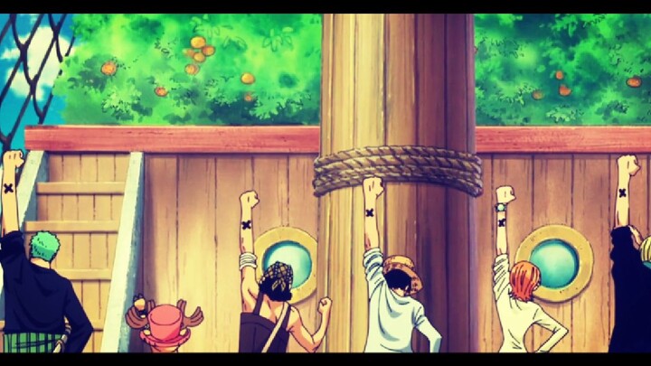 [AMV|Tear-Jerking|One Piece]Scene Cut of Nefeltari Vivi's Storyline|BGM: はじまりの日