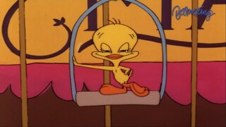 Sylvester and tweety mysteries Mexico พากย์ไทย