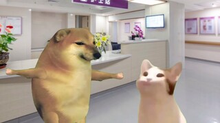 真的是一个很聪的护士！