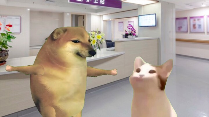 إنها حقًا ممرضة ذكية جدًا!