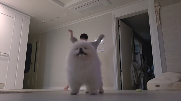 ความสุขและความทุกข์ของนางระบำไม่มีใครเห็น