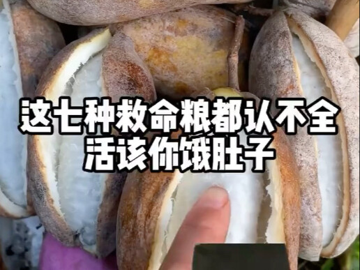 7 loại lương thực cứu mạng này mà còn không nhận ra hết, đúng là đáng đời đói bụng.