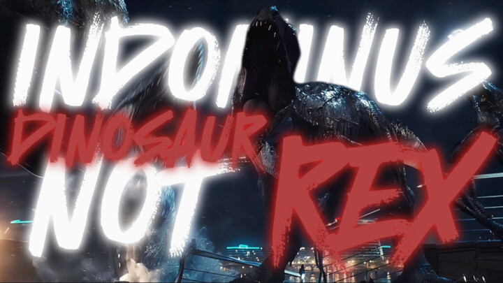 “努布拉尔岛的白色恶魔”