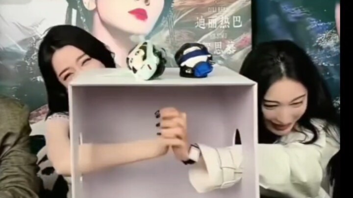 Dilraba, aku tahu banget kamu nggak minum obat tradisional Tiongkok sama sekali! Malah segar bugar t