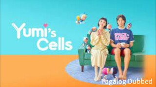 Yumi's Cells 06