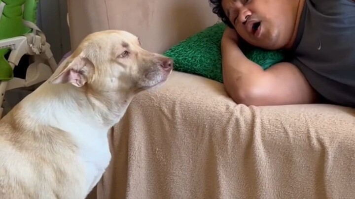 nagsusumbong si theo