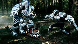 รวบรวมอัศวินหรือสัตว์ประหลาดของ Kamen Rider ที่มีพื้นฐานมาจากเสือ
