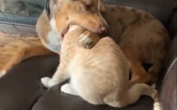 Huh, who turned off the light?