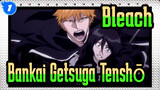 [Bleach/Epic] Bankai! Getsuga Tenshō!_1