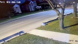 แค่ตัดแต่งกิ่ง