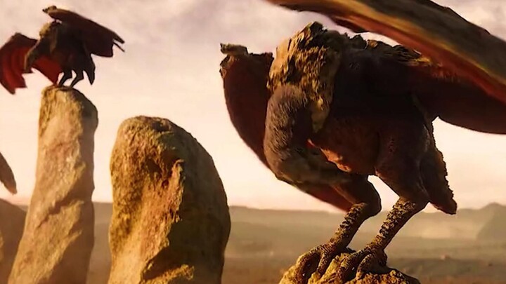 شاهدت على مدار جلسة واحدة "رحلة الصحراء في عالم الحب والآلات"، قطرة ماء يمكنها أن تُستبدل بطن من الذ