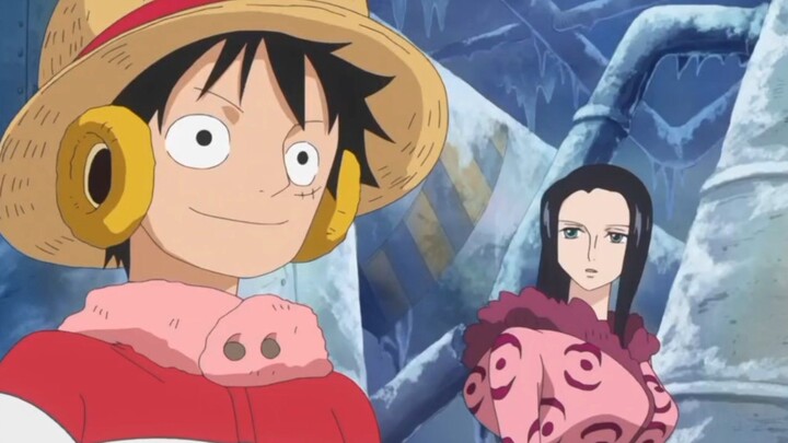 MOMEN KOCAK LUFFY MENERIMA TAWARAN TRAFALGAR LAW