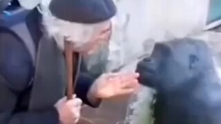 真心相爱的一对