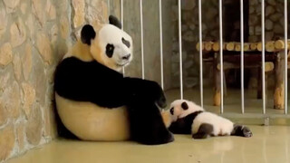 هو فقط من لا يعتبرني كنزاً وطنياً