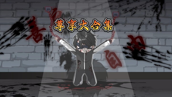 尊享大合集