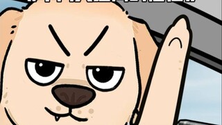 你永远可以相信布鲁斯!!