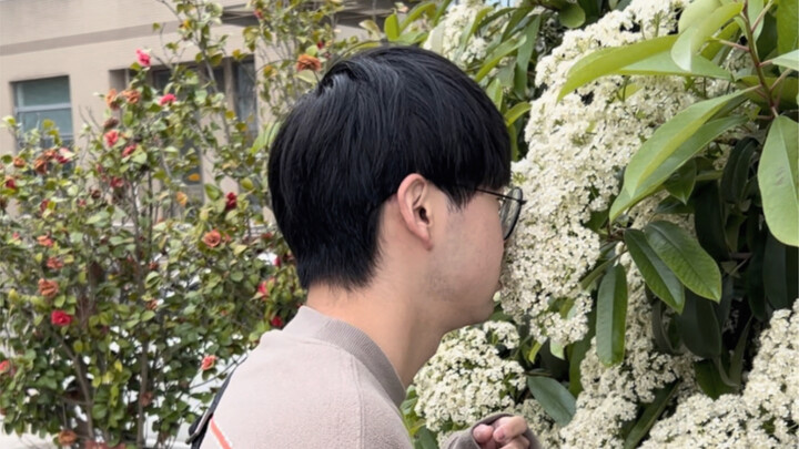 Danh bạ thưởng thức: Ẩm thực học đường & hoa thạch nam