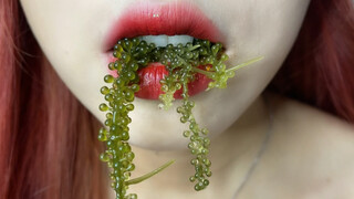 The Taste of Sea: Seagrapes!