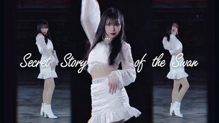 【贝卡】幻想童话☽Secret Story of the Swan☾如天鹅般优雅~