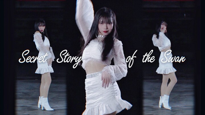 [Becca] Fantasy fairy tale ☽Secret Story of the Swan☾As graceful as a swan~