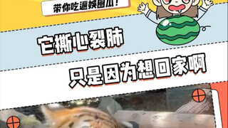 But it clearly didn’t do anything wrong!