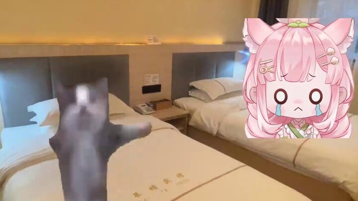Two Sakura girls quarreled and accidentally did something incredible in the hotel! ?