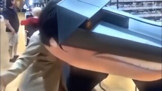 【地球生物搞笑日常#193】（来晚了版）