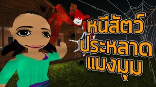 ROBLOX - หนีสัตว์ประหลาดแมงมุม 🕷️