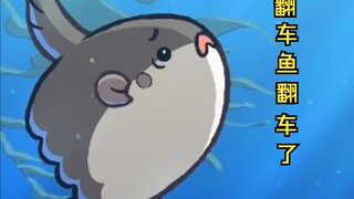 【有趣的小动物】翻车鱼🌕🐡 by sqftfish
