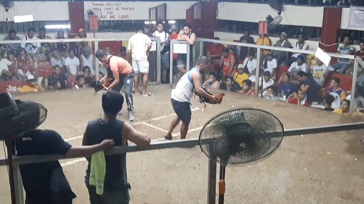 2hits fight no2 champion