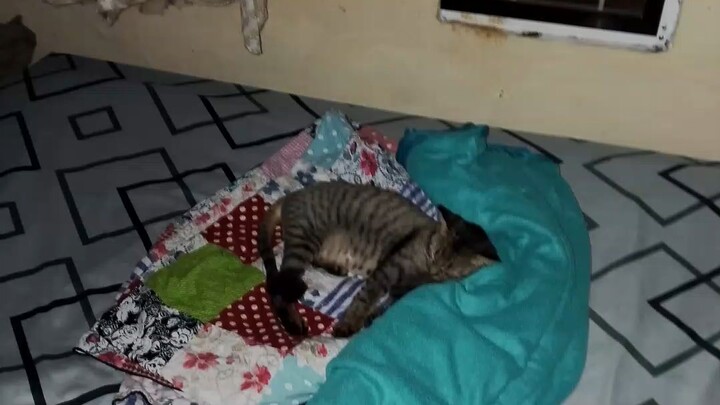 penguasa kasur❤
