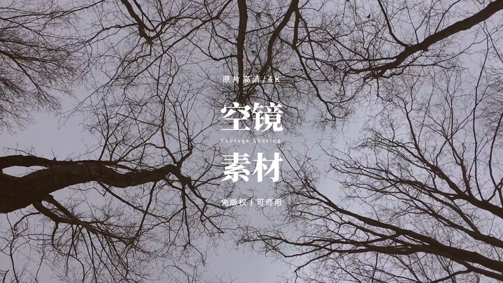 【免版权空镜】“Dimgray”