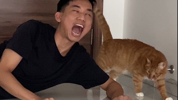 นี่แหละหรือคือคาต์แมนในตำนาน?