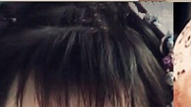 If they were allowed to play the roles of the Emperor and Prince Guo in Legend of Zhen Huan, all the