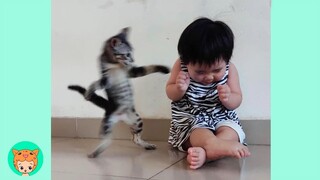 Funny Babies Fighting With Cats - Baby and Pet Videos