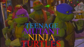 TMNT The Next Mutation Theme Song