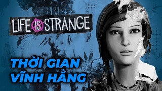 Cốt Truyện Life is Strange 1: Khi Thời Gian Lặp Lại, Bạn Có Cứu Lấy Những Người Mình Yêu? | MT2T