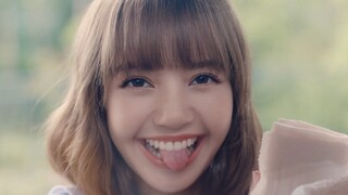 Đó là cảm giác của tình yêu! Góc nhìn của bạn trai Ragnarok M, chú mèo đáng yêu của Lisa, được tiết 