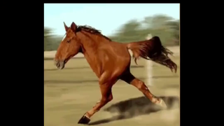 A university teacher, who got married at 28, warns students in class against private chats: girls sh