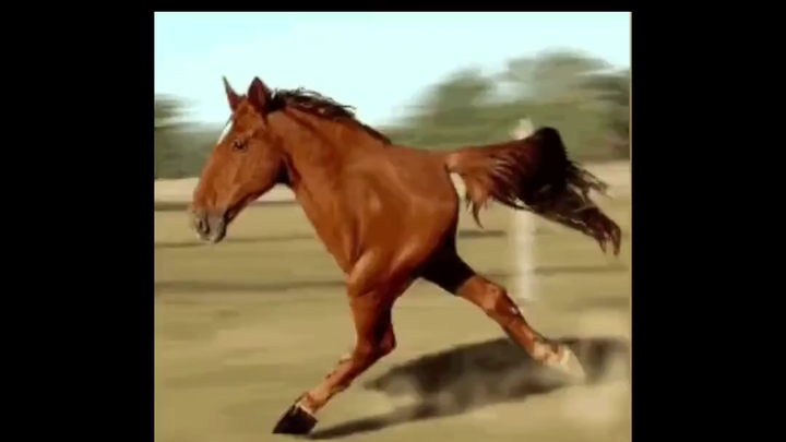 A university teacher, who got married at 28, warns students in class against private chats: girls sh