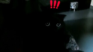 Setelah memelihara kucing hitam, kenapa setiap malam saat minum air aku selalu terbatuk-batuk?