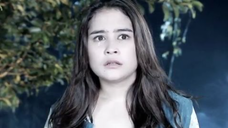 348 Ganteng-Ganteng Serigala