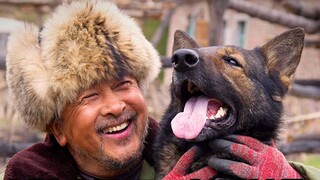 Orang tua itu dengan baik hati mengambil seekor anjing liar, tetapi anjing itu tiba-tiba menyelamatk