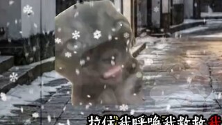 Khi bạn trở thành một kẻ phản diện chỉ để về nhà
