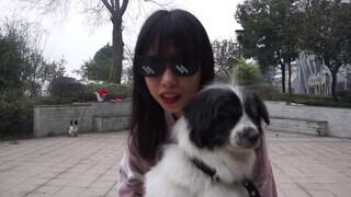 【لينغ جيانغ】رقصة الجدة مع الربيع يهب في كل مكان~《ملك قراءة الشعر》||جد وحفيد مضحك||كوميدي