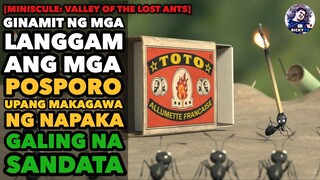 Ginamit ng mga LANGGAM ang POSPORO | Minuscule: Valley of the Lost Ants Ricky Tv Tagalog Movie Recap